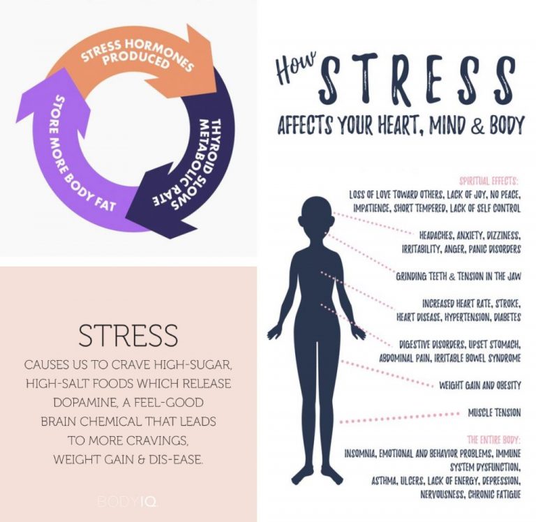 How Does Stress Affect Your Weight? Pt. 2 - BODY IQ